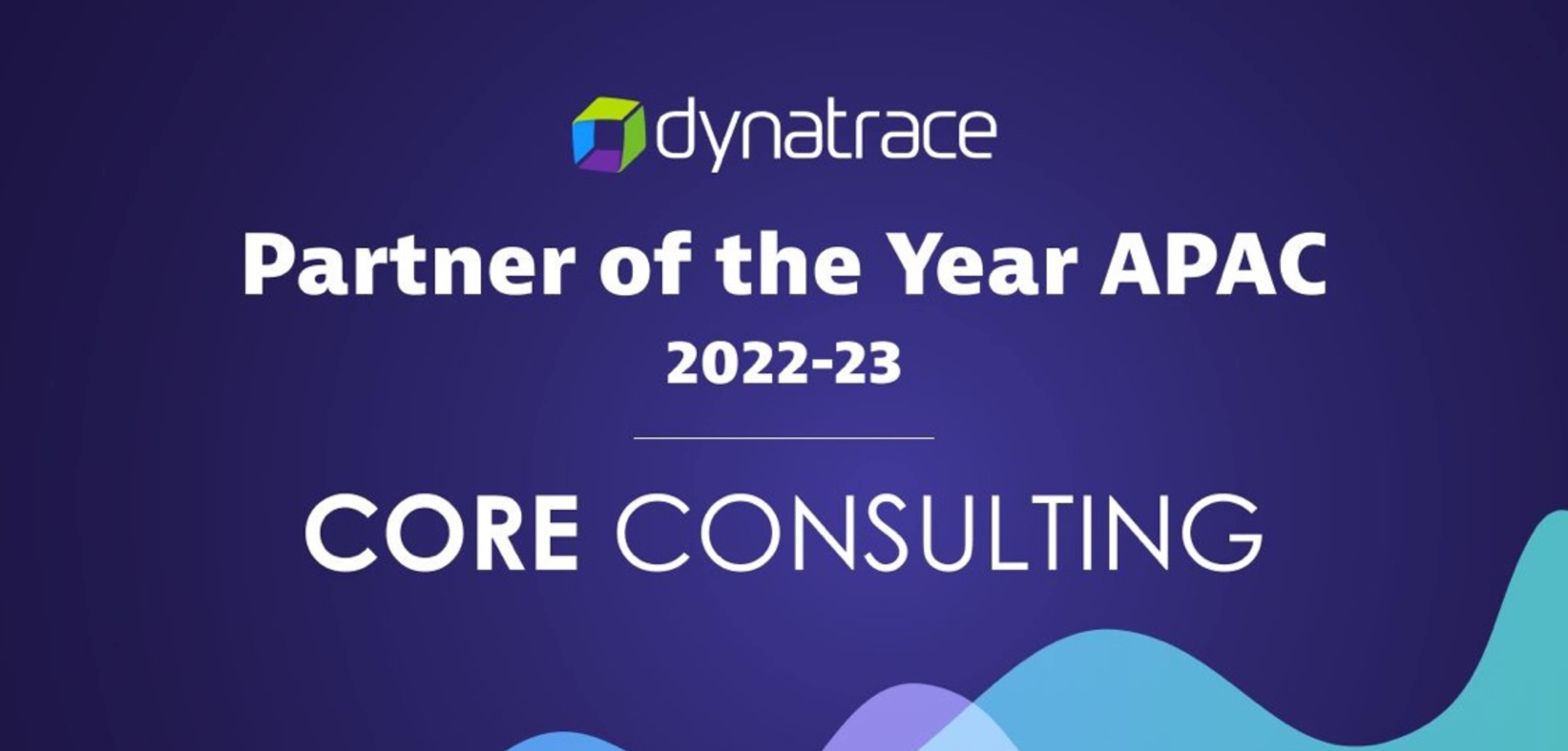 APAC Partner of The Year